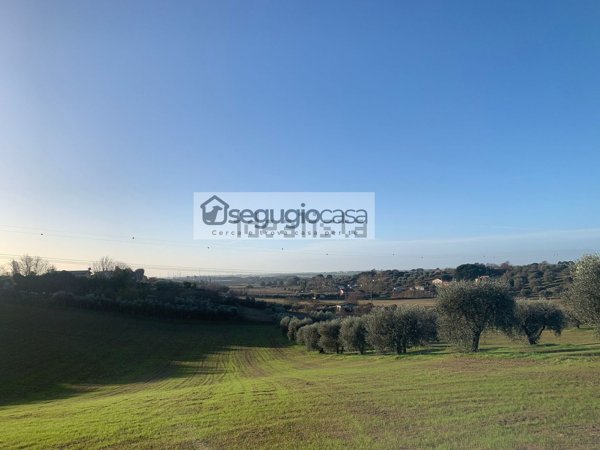 casa indipendente in vendita a Roma in zona Cesano