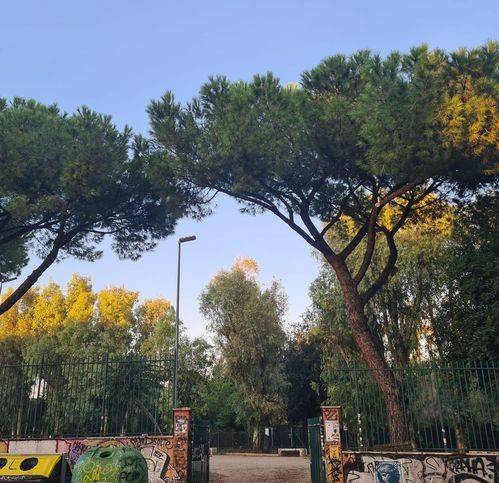 appartamento in vendita a Roma in zona Prenestino-Centocelle
