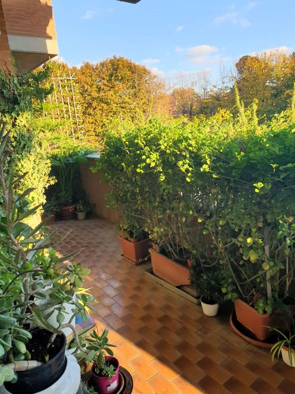 appartamento in vendita a Roma in zona Trionfale