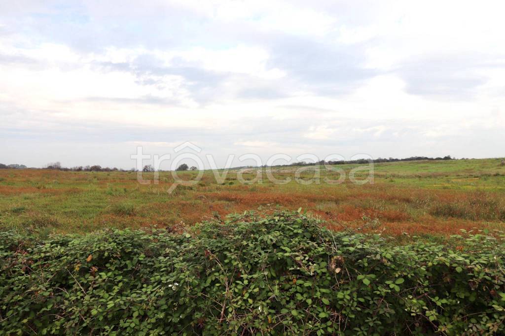 terreno agricolo in vendita a Roma in zona Piana del Sole