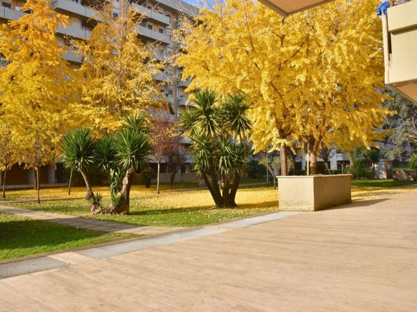 appartamento in vendita a Roma in zona Ponte Mammolo