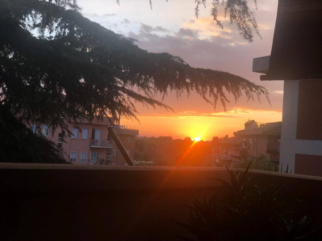 appartamento in vendita a Roma in zona Tor Sapienza