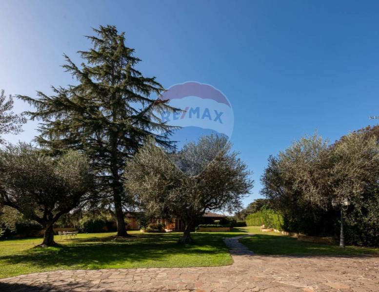 immagine annuncio 0 di 15