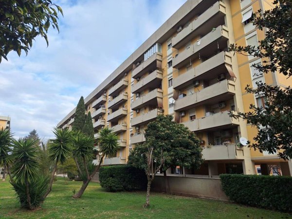 appartamento in vendita a Roma in zona Collatino