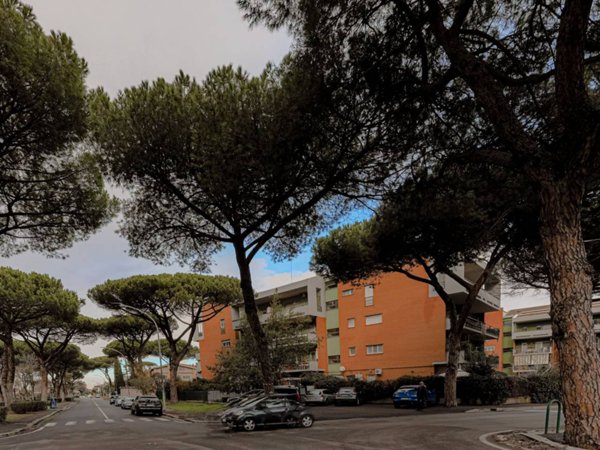 appartamento in vendita a Roma in zona Axa