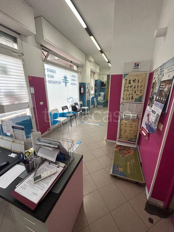 negozio in vendita a Roma in zona Casal Monastero