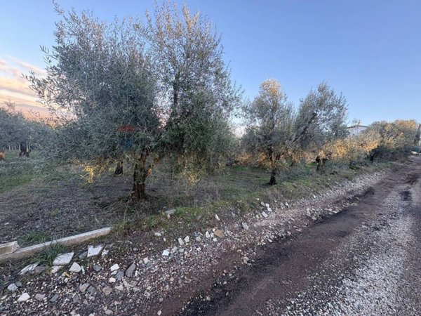 terreno agricolo in vendita a Roma in zona Finocchio