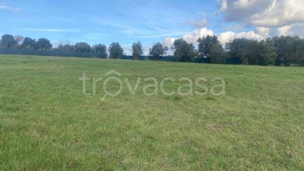 terreno in vendita a Roma in zona Spregamore