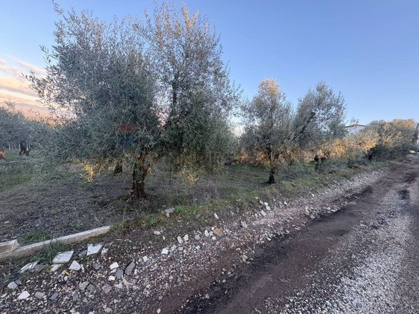 terreno agricolo in vendita a Roma in zona Finocchio