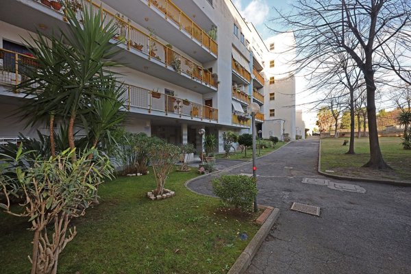 appartamento in vendita a Roma in zona Casal Palocco