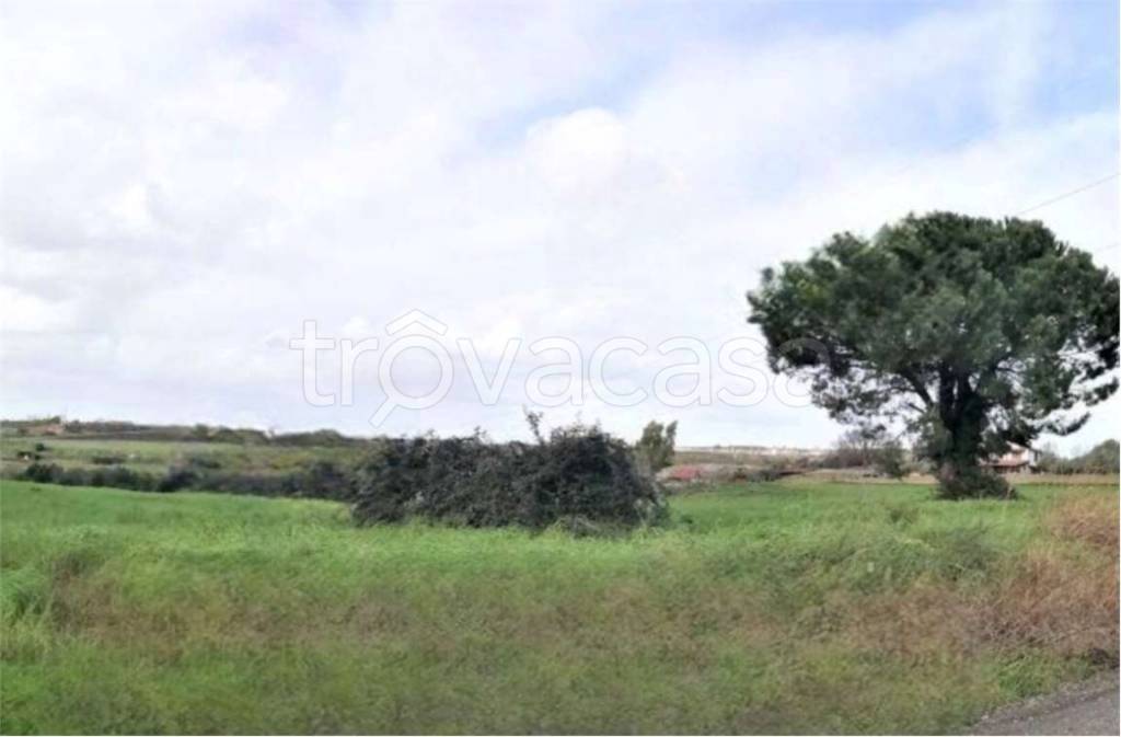 appartamento in vendita a Roma in zona Osteria Nuova