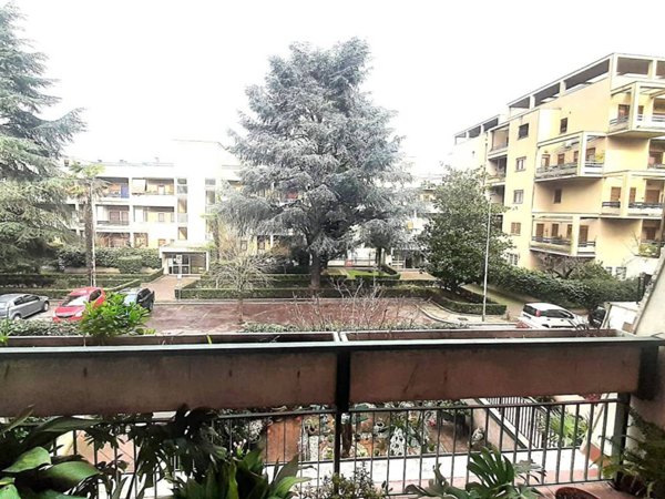 appartamento in vendita a Roma in zona Giuliano Dalmata