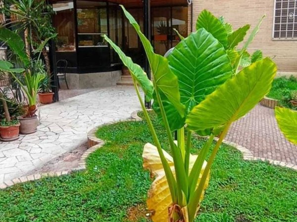 appartamento in vendita a Roma in zona Tor di Quinto