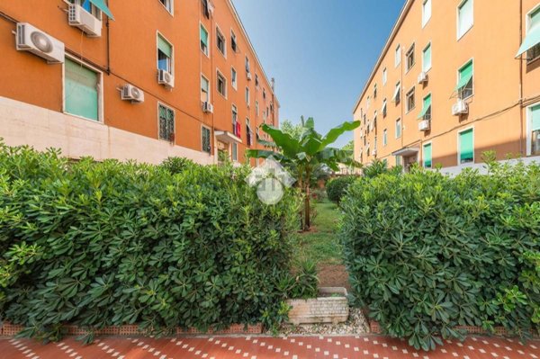 appartamento in vendita a Roma in zona Monte Sacro/Talenti