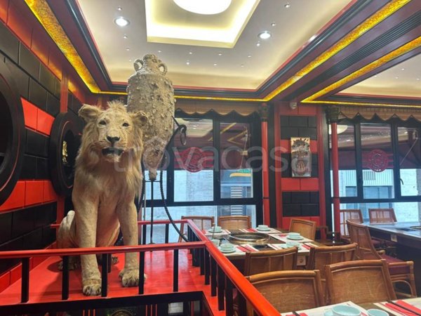 negozio in vendita a Roma in zona Trevi-Colonna