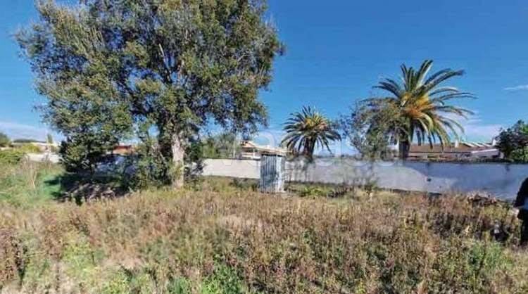 terreno agricolo in vendita a Roma in zona Casal Palocco