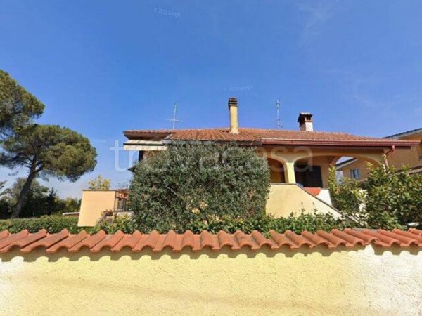 appartamento in vendita a Roma in zona Tor Vergata/Torrenova