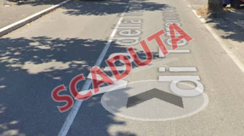 negozio in vendita a Roma in zona Tor Vergata/Torrenova