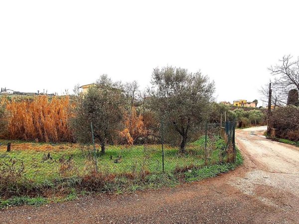 terreno agricolo in vendita a Roma in zona Finocchio