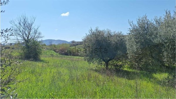 terreno in vendita a Roma in zona Finocchio