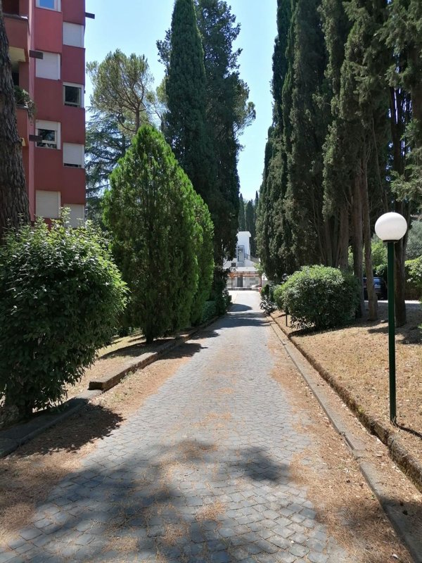 appartamento in vendita a Roma in zona Tor di Quinto