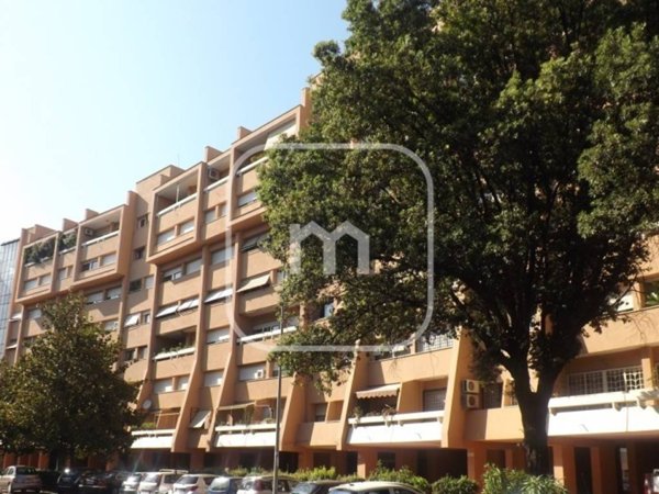 negozio in vendita a Roma in zona Giuliano Dalmata