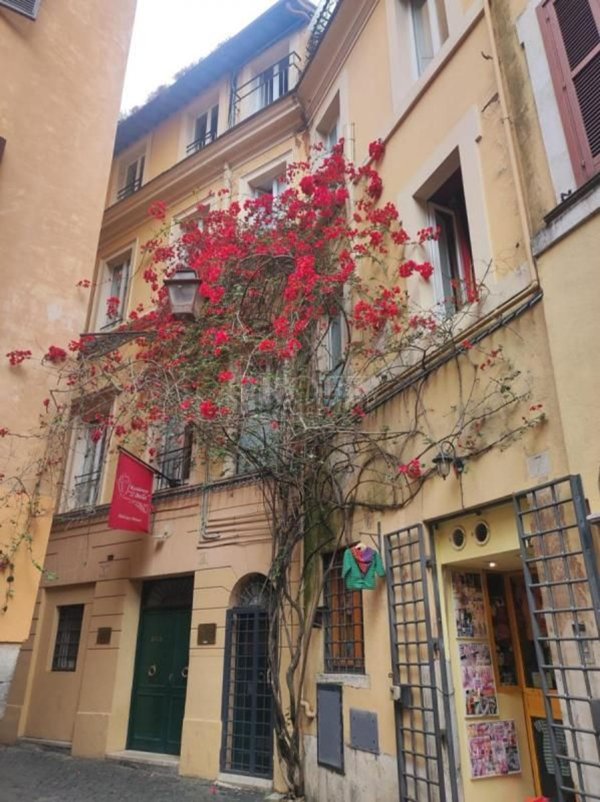 appartamento in vendita a Roma in zona Campo Marzio