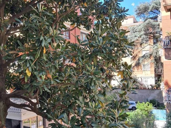 appartamento in vendita a Roma in zona Ardeatino