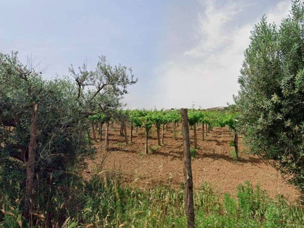 terreno agricolo in vendita a Roma in zona Finocchio