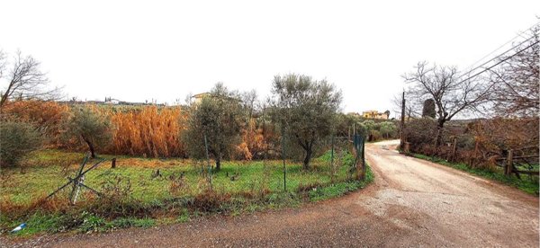 terreno agricolo in vendita a Roma in zona Borghesiana