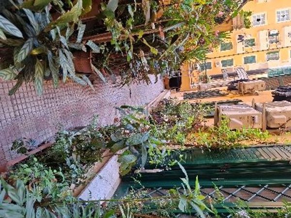 appartamento in vendita a Roma in zona Tuscolano