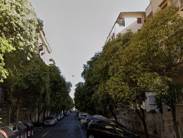 appartamento in vendita a Roma in zona Trieste