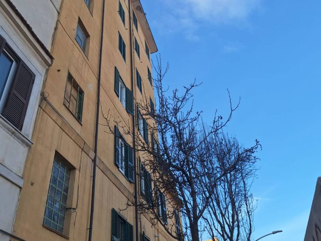 appartamento in vendita a Roma in zona Tiburtino
