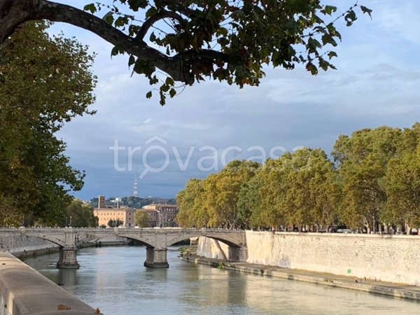 appartamento in vendita a Roma in zona Campo Marzio