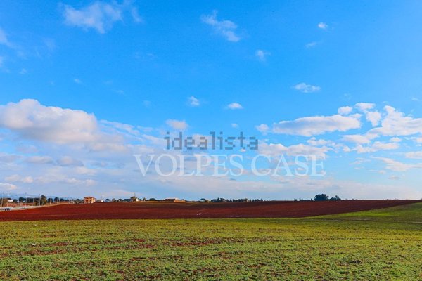 casa indipendente in vendita a Roma in zona Giuliano Dalmata