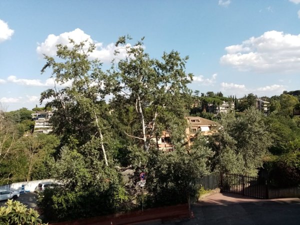 appartamento in vendita a Roma in zona Trionfale