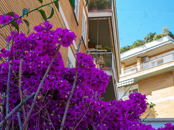 appartamento in vendita a Roma in zona Aurelio