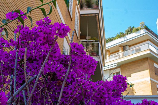 appartamento in vendita a Roma in zona Aurelio