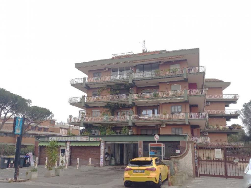 negozio in vendita a Roma in zona Tor Vergata/Torrenova