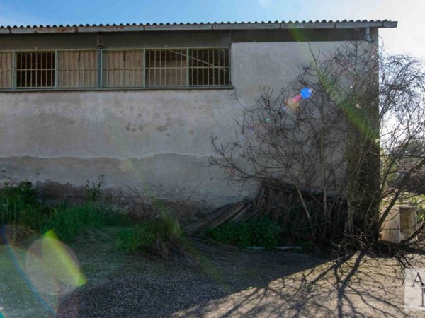 terreno agricolo in vendita a Roma in zona Cesano