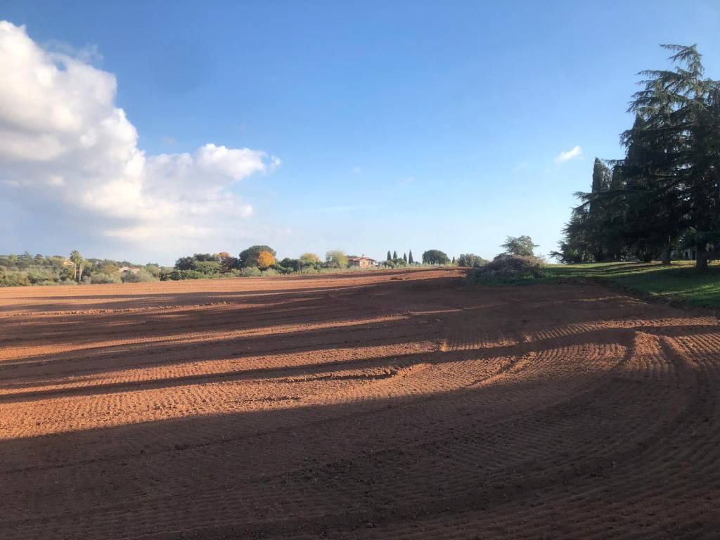 casa indipendente in vendita a Roma in zona Trigoria