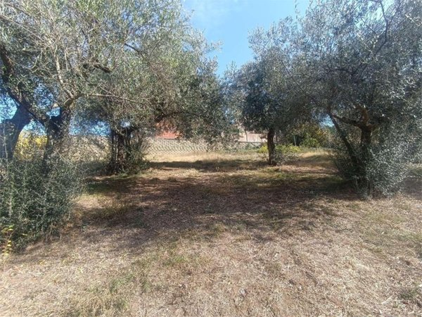 terreno agricolo in vendita a Roma in zona Finocchio