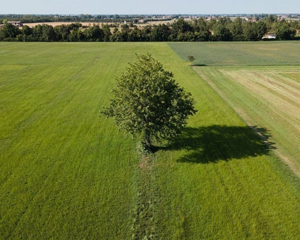 casa indipendente in vendita a Roma in zona Ostiense