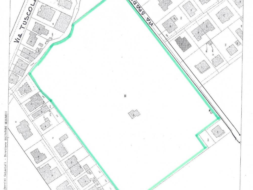 terreno agricolo in vendita a Roma in zona Tor Vergata/Torrenova