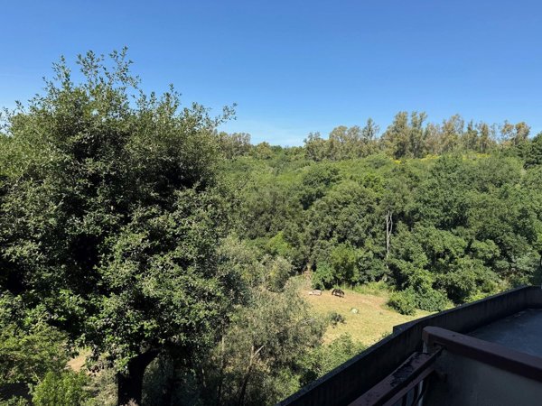 appartamento in vendita a Roma in zona Trionfale