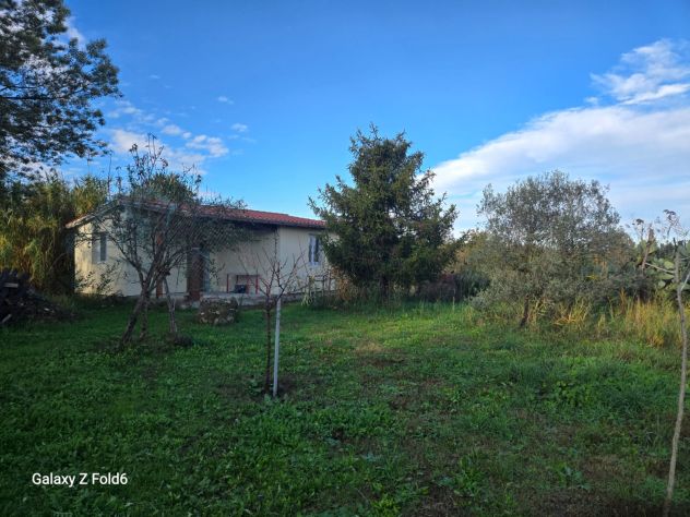 casa indipendente in vendita a Roma in zona Casal Palocco