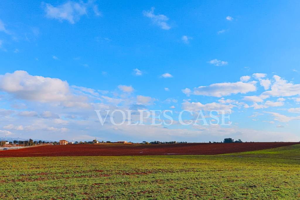 casa indipendente in vendita a Roma in zona Giuliano Dalmata