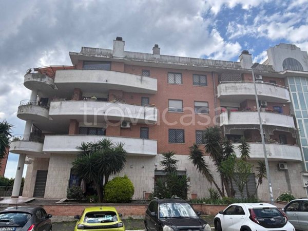 negozio in affitto a Roma in zona Ponte Galeria