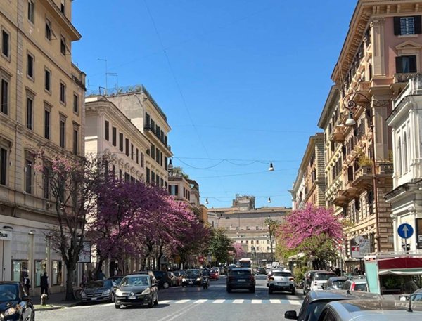negozio in vendita a Roma