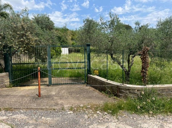 terreno agricolo in vendita a Roma in zona Pantan Monastero